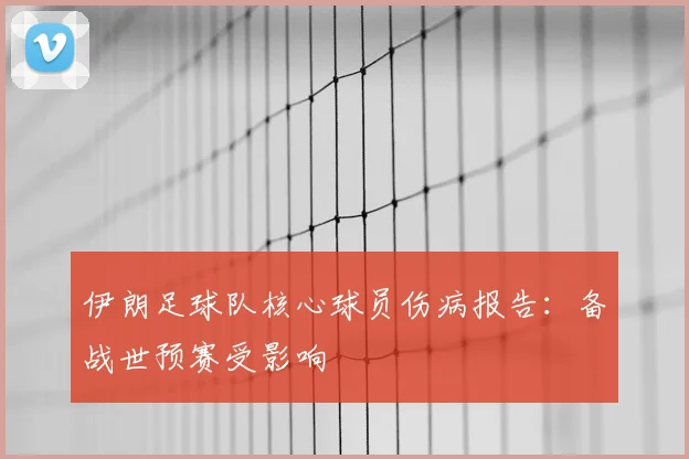 伊朗足球队核心球员伤病报告：备战世预赛受影响